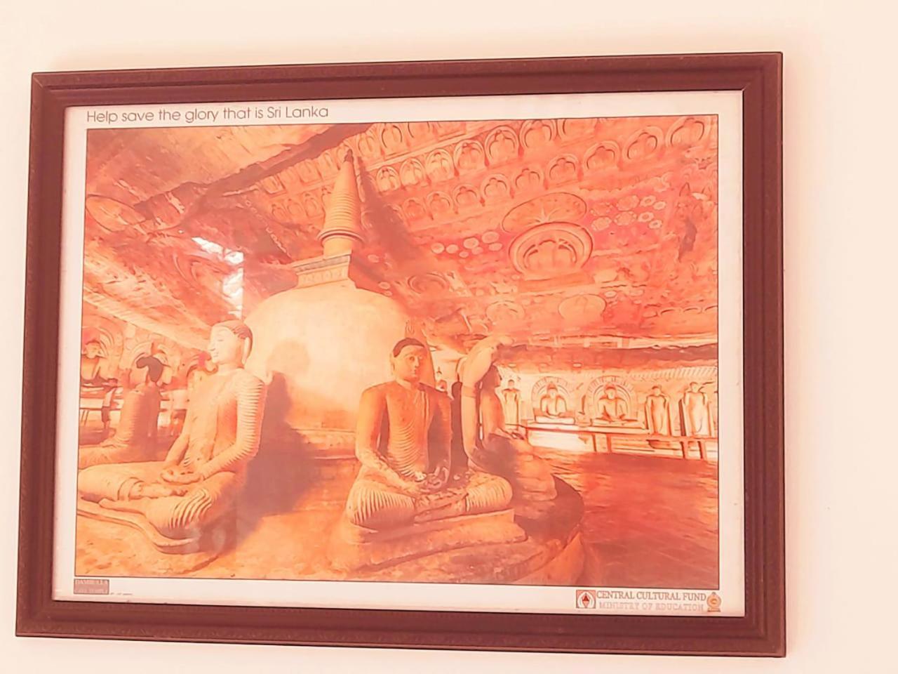 Heritage Rangiri Villa 丹不拉 外观 照片